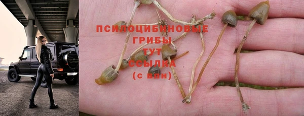 спайс Балабаново