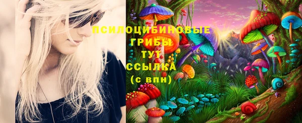 мдпв Баксан