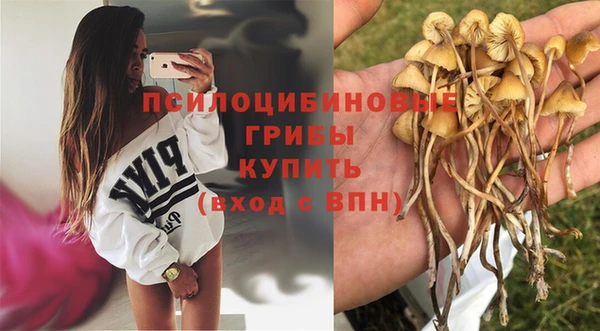 мдпв Баксан