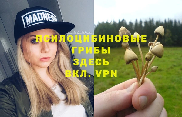 спайс Балабаново