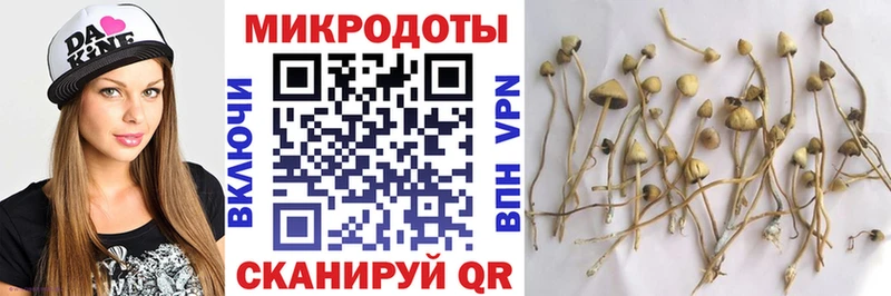 хочу   Саяногорск  Галлюциногенные грибы ЛСД 